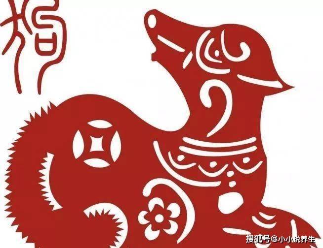 千金买骨惜人才打一准确生肖仔细释义、解释与落实、详细解答解释落实