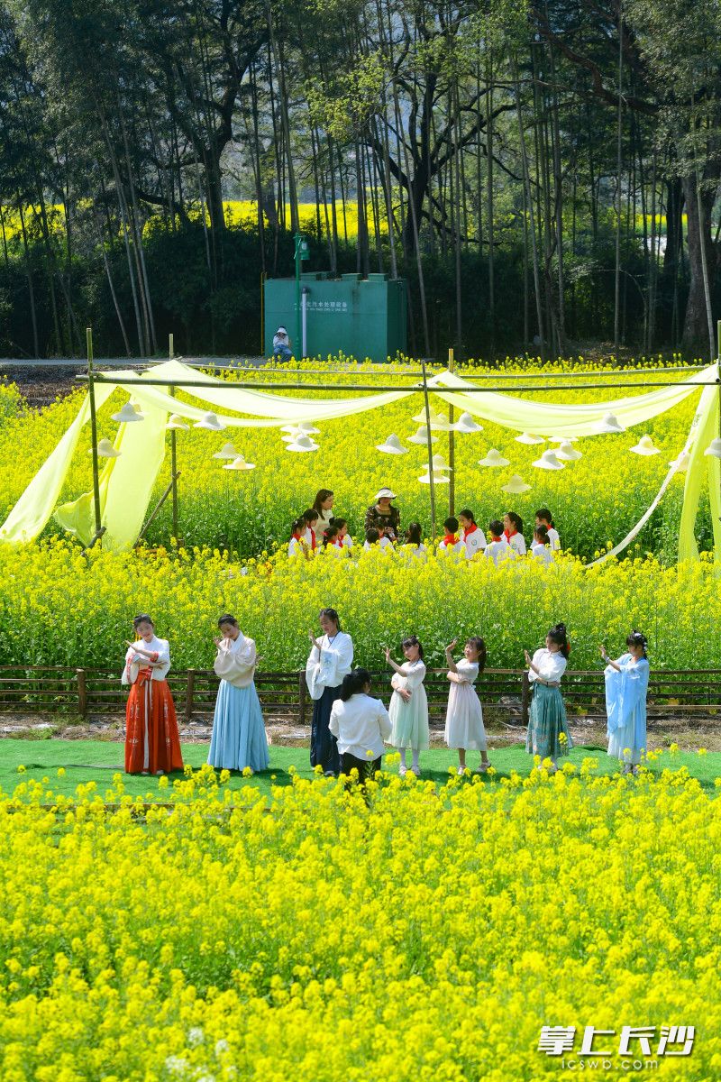 遍地有花皆美育 五湖四海唱关曲打一最佳精准生肖的警惕虚假宣传-全面释义、解释与落实、时代解答解释落实